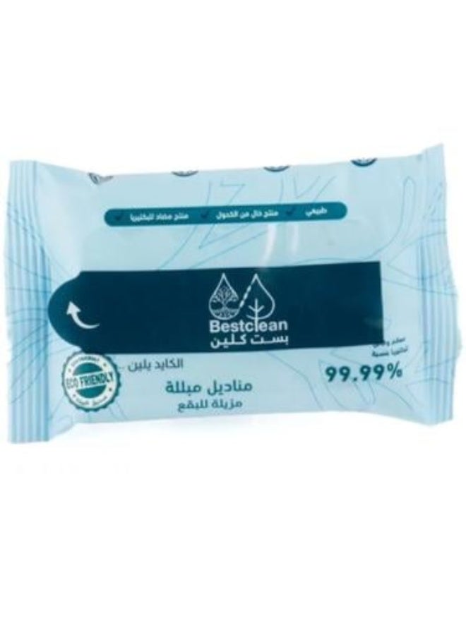 Stain Remover Wet Wipes